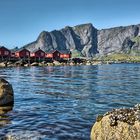 Lofoten Roerbuer