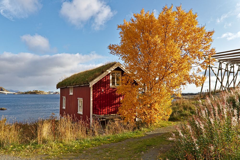 Lofoten - Rorbuer im Herbstlicht