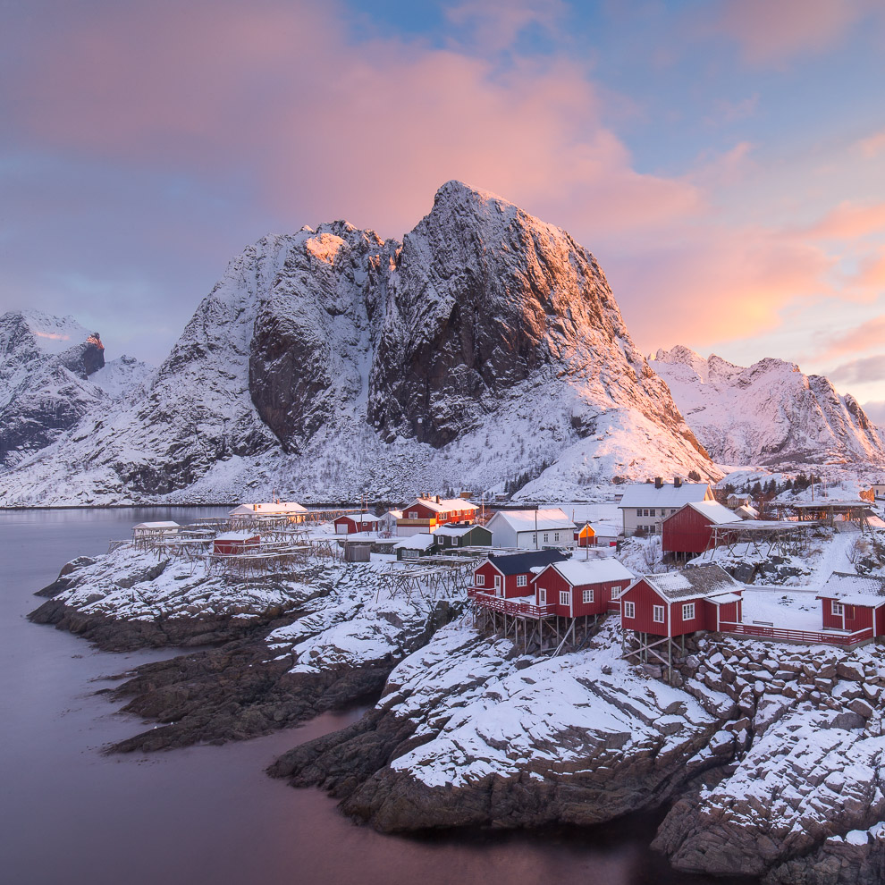 Lofoten - rosa