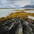 Lofoten Serie Mai 2011-2