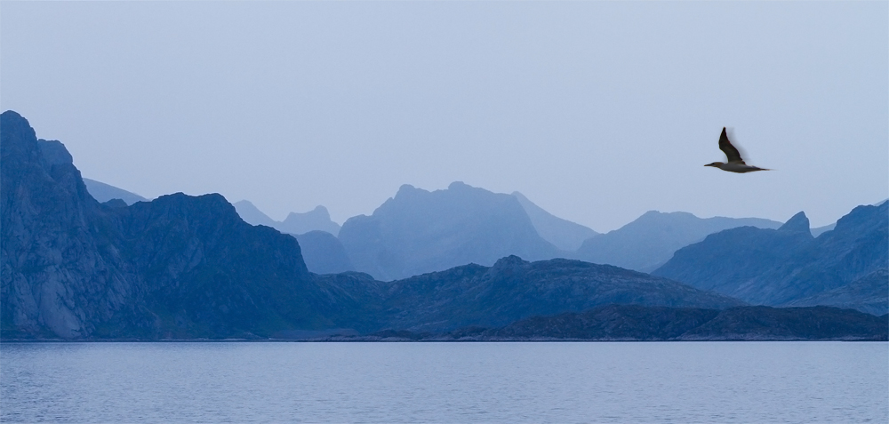 Lofoten-Skyline