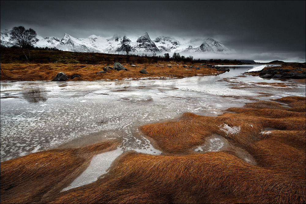 [ ... lofoten spirit ]