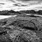 Lofoten V