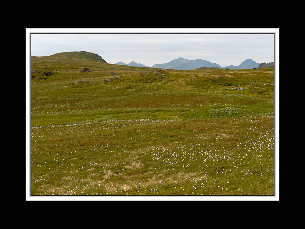 Lofoten-Vestvågøy 063