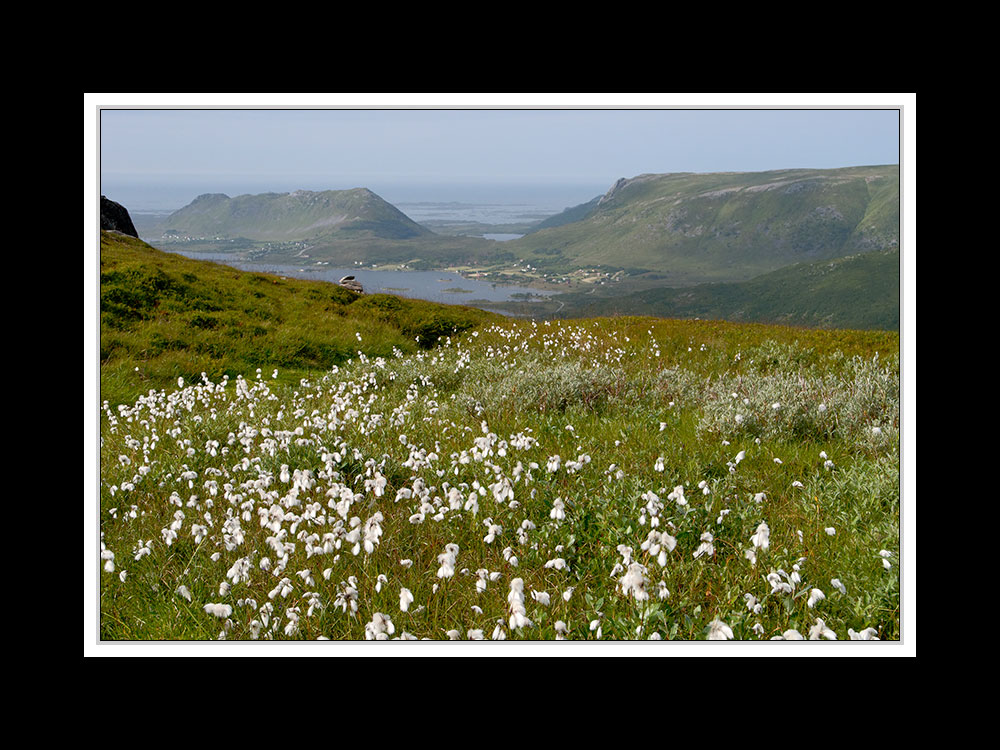 Lofoten-Vestvågøy 068