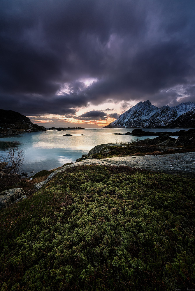 LOFOTEN WINTER ?