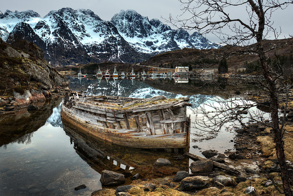 Lofoten Wrack