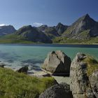 lofoten x