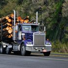 Log Truck