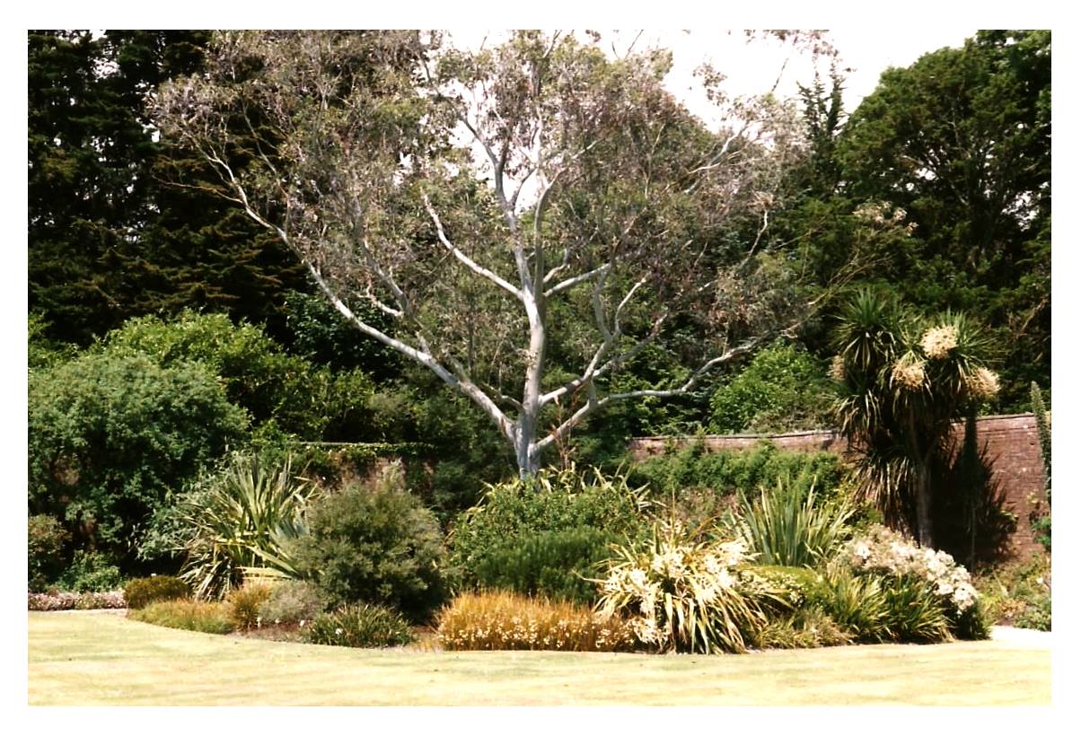 Logan Botanic Garden  .............