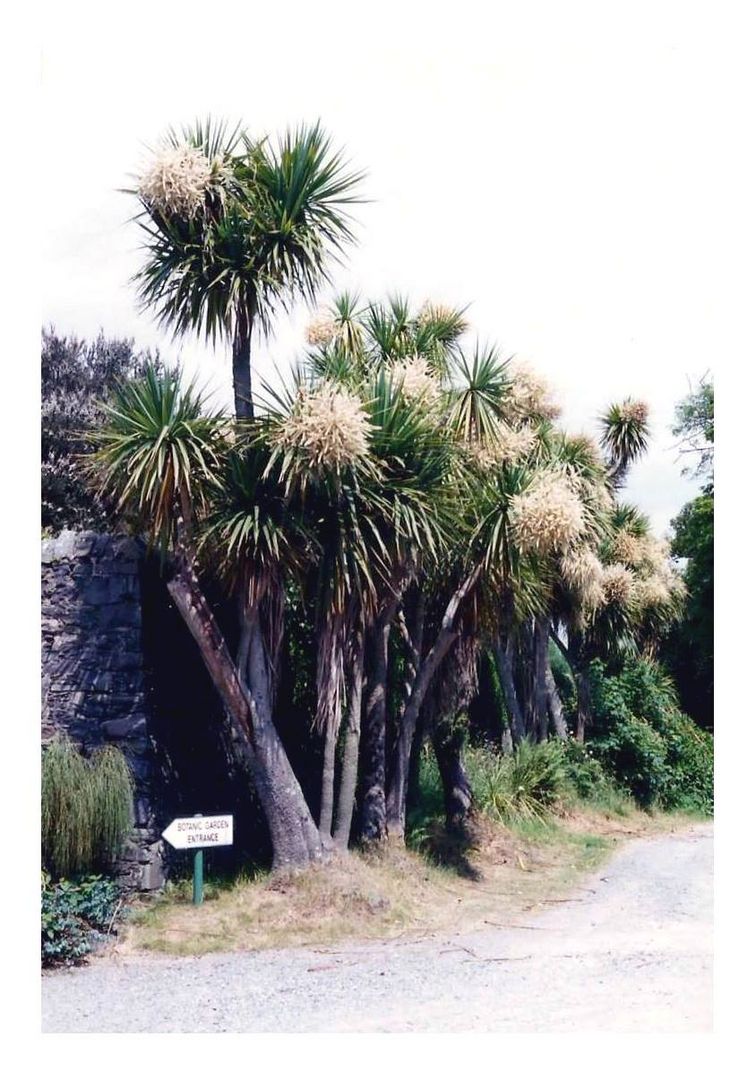 Logan Botanic Garden