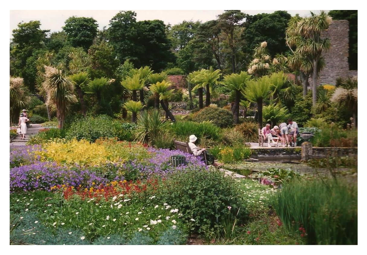 Logan Botanic Garden  in Scotland