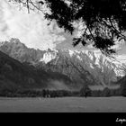 Logarska Tal und die Steiner Alpen