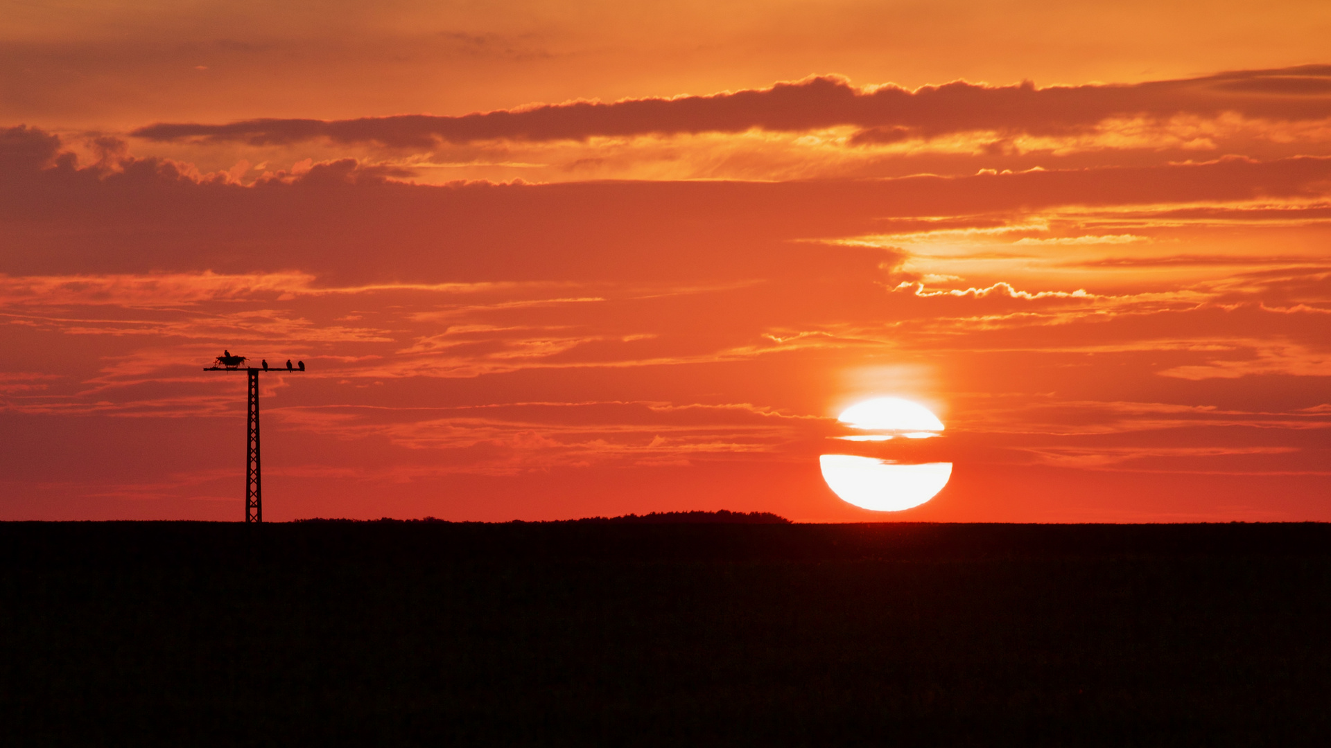 Logenplatz beim Sonnenuntergang