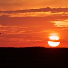 Logenplatz beim Sonnenuntergang