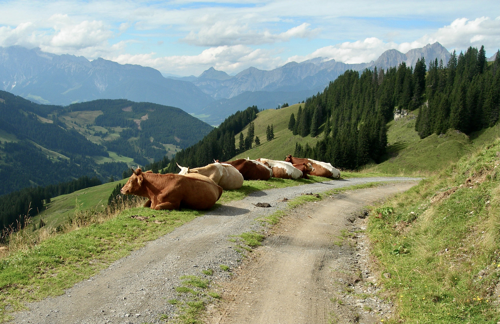 Logenplatz