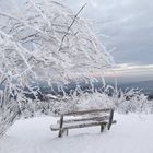 Logenplatz im Winter