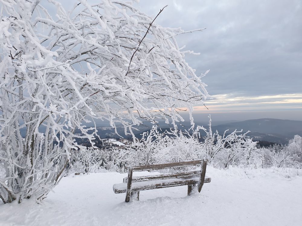 Logenplatz im Winter