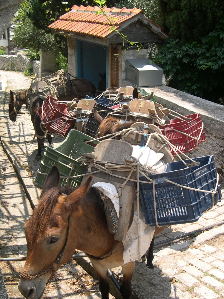 Logistik-Unternehmen auf dem Athos