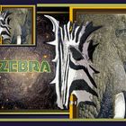 Logo Zebra 2009