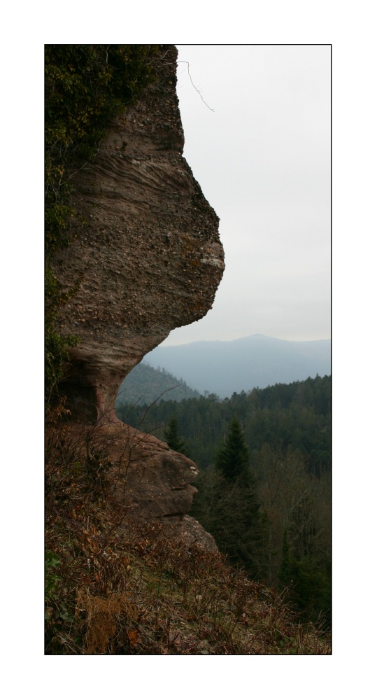 L'ogre des Vosges