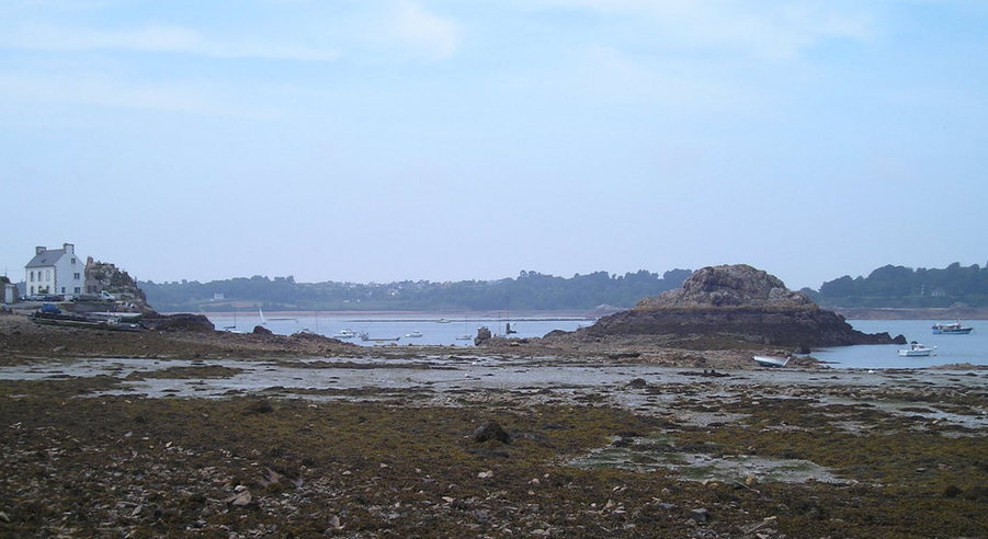 Loguivy de la Mer 2011