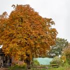 Lohbarbek  Kreis Steinburg