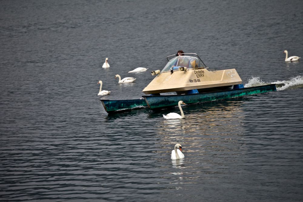 Lohengrin heute