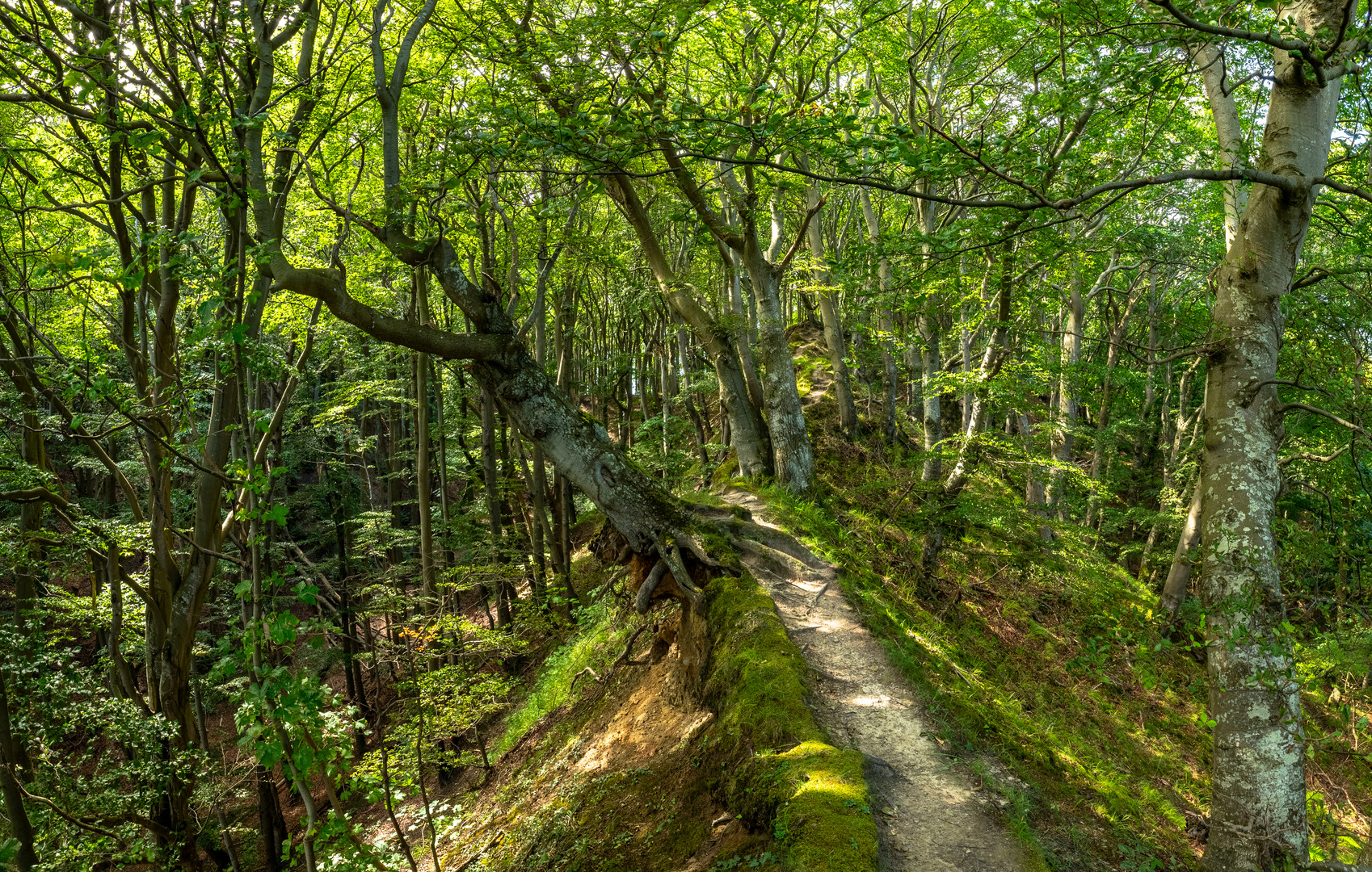 Lohme Höhenuferweg