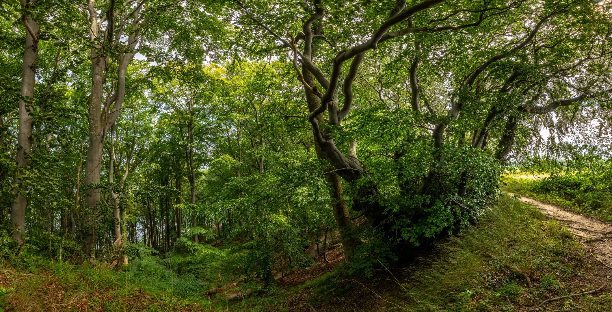 Lohme Höhenuferweg