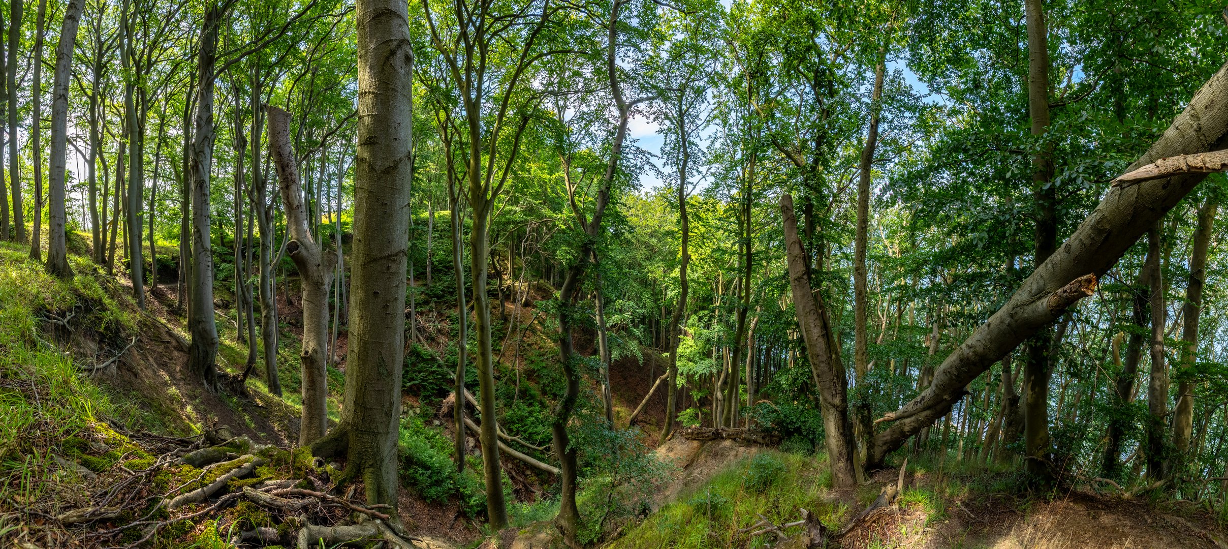 Lohme Höhenuferweg