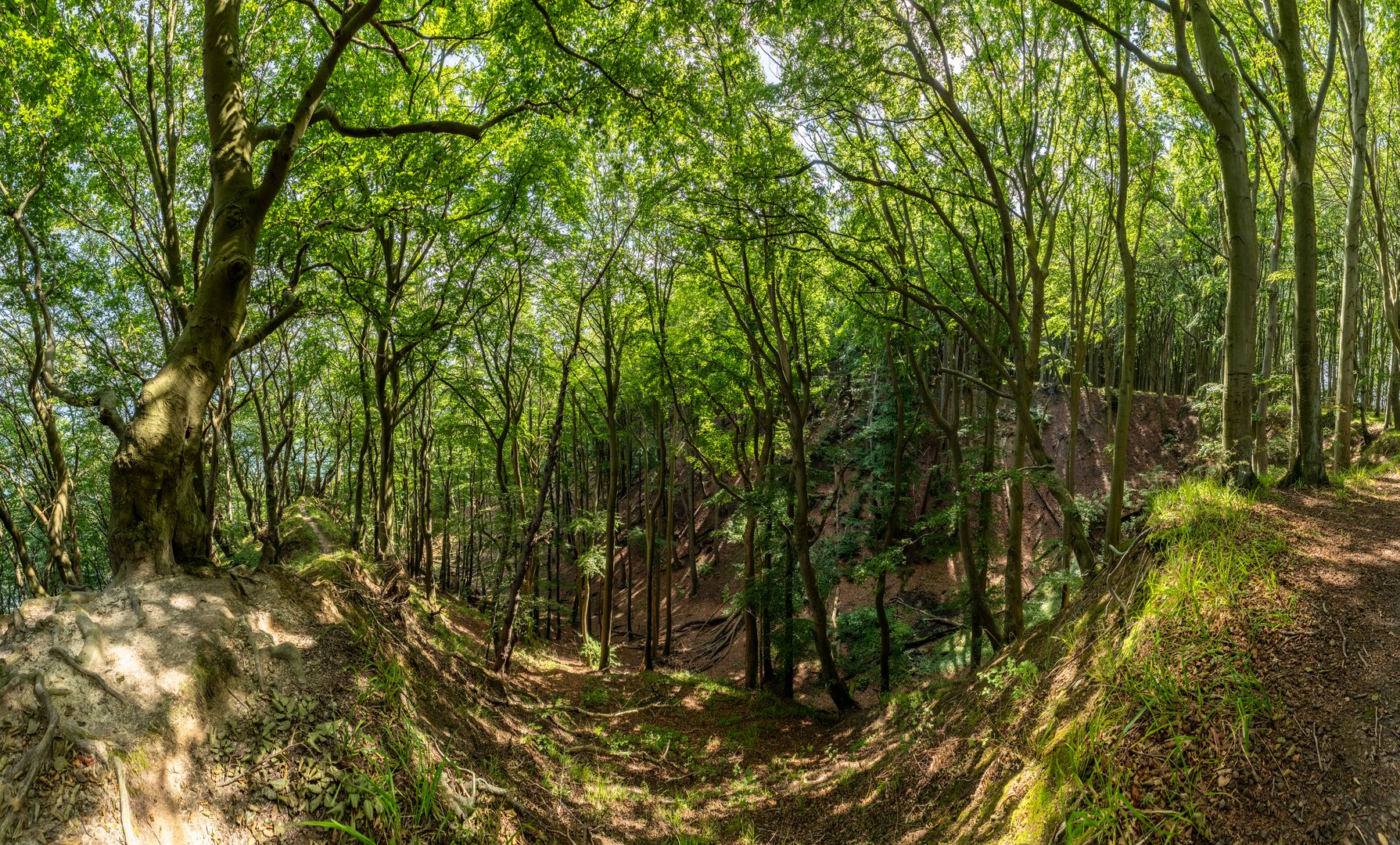 Lohme Höhenuferweg