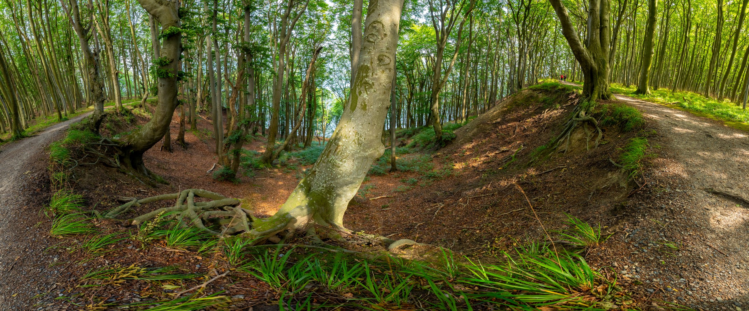 Lohme Höhenuferweg