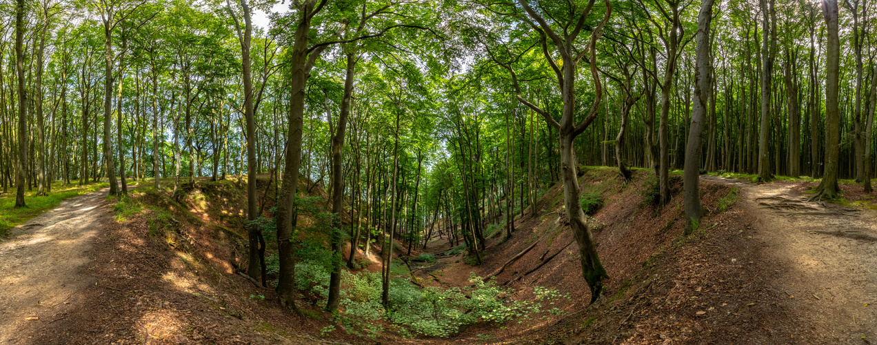 Lohme Höhenuferweg