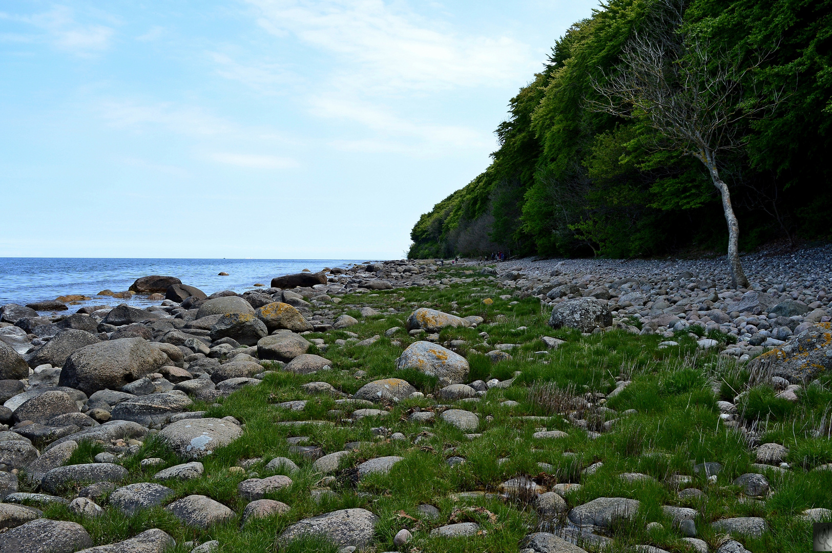 Lohme  Strand