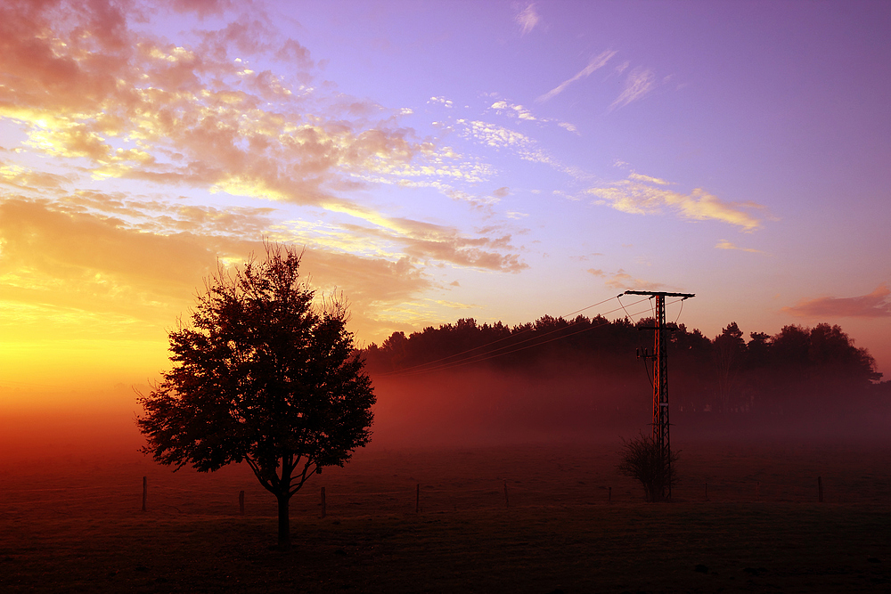 *Lohmen 11/2014 - morgens*