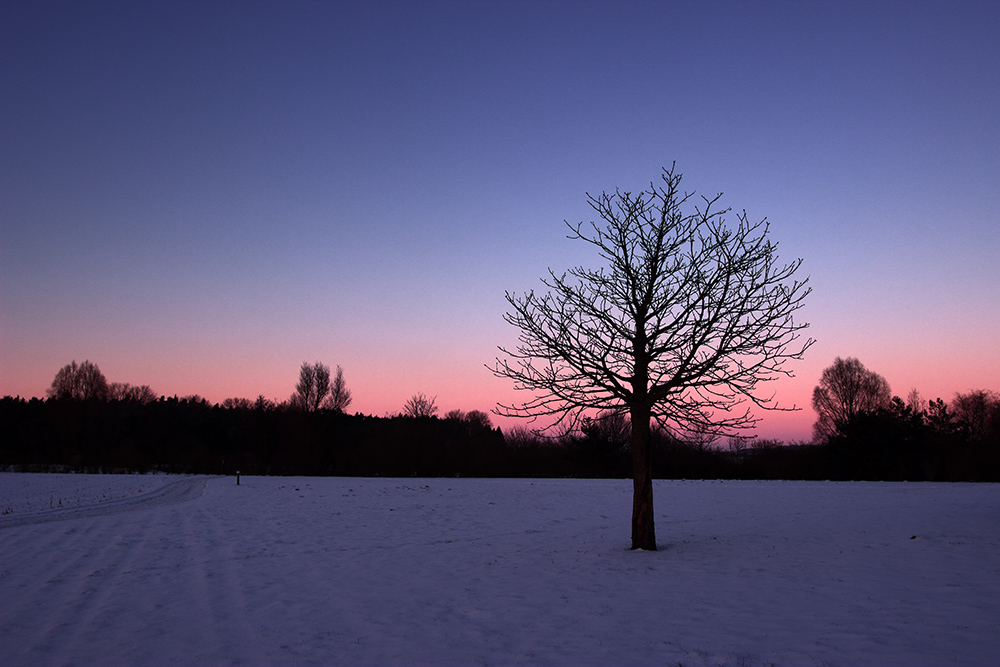 *Lohmen 21012016*