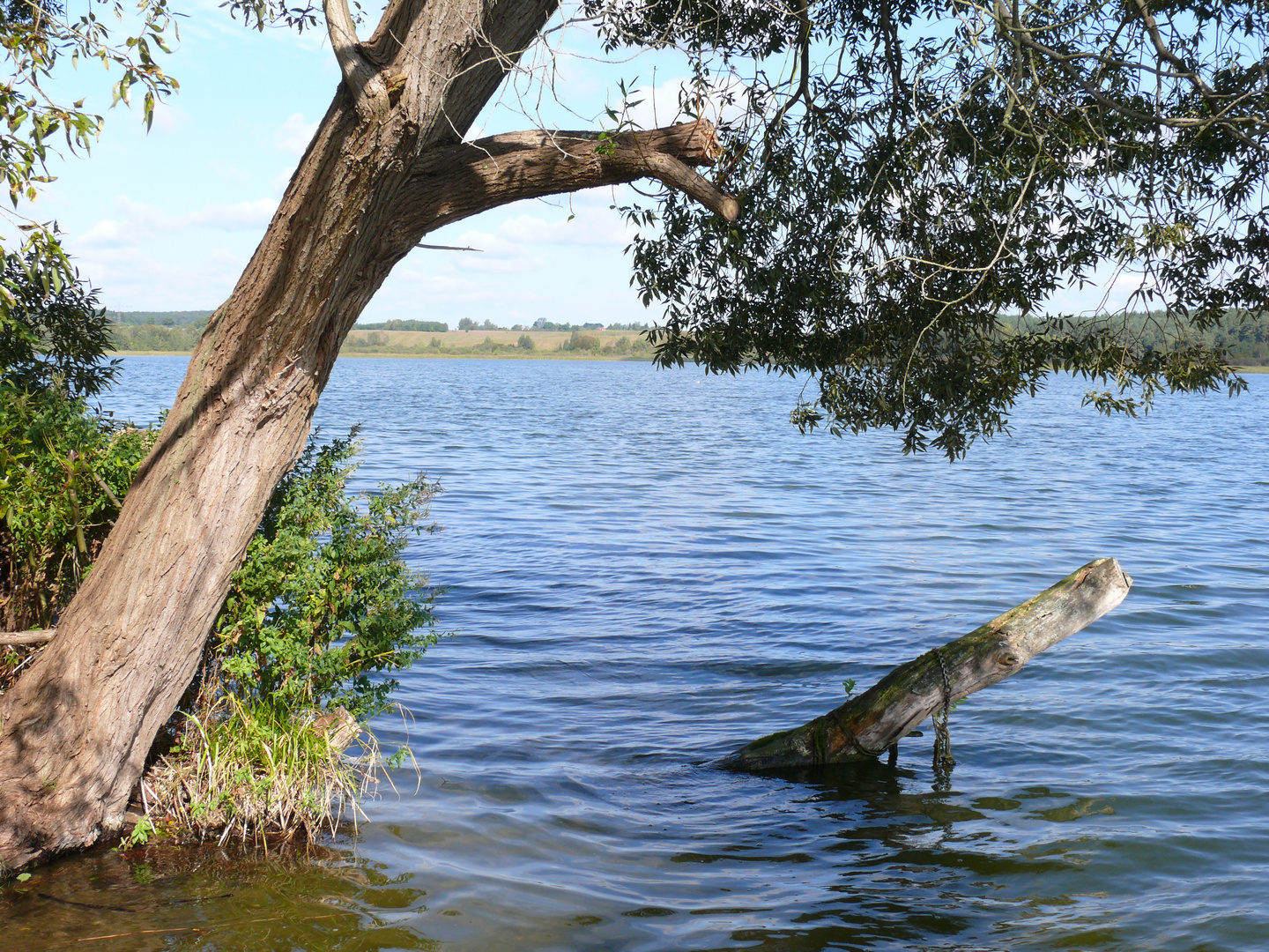 Lohmer See