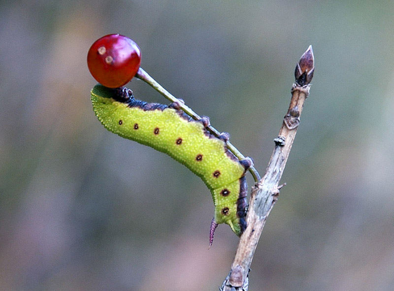 Lohn der Mühen