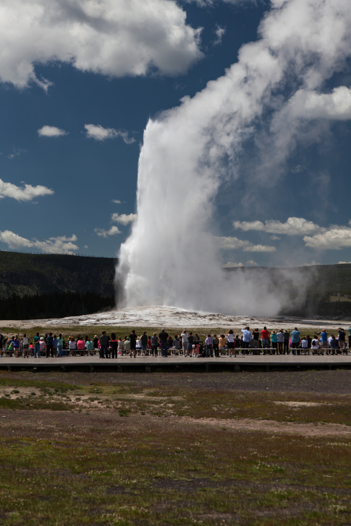 Lohn des Wartens - Old Faithful