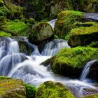 Lohnbachfall Niederösterreichisches Waldviertel