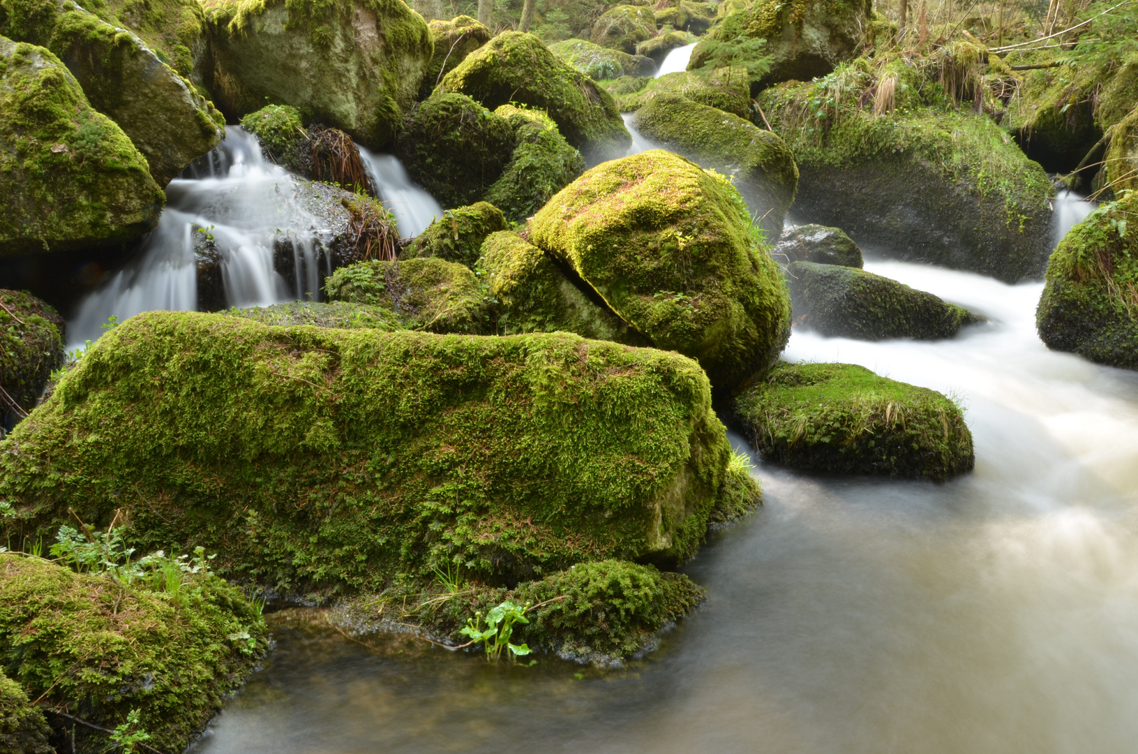 Lohnbachfall NÖ