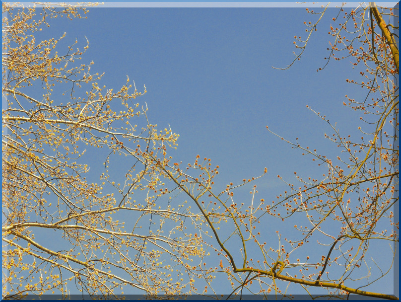 Lohnender Blick nach oben