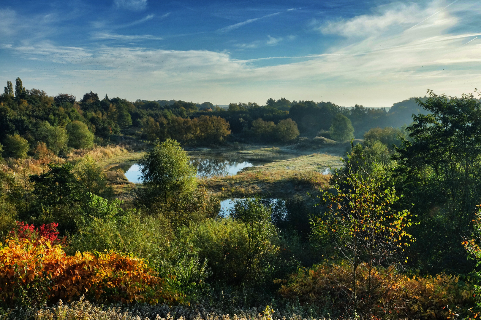 Lohner Moor