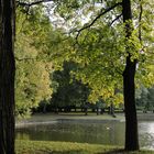 lohteich apolda in herbst