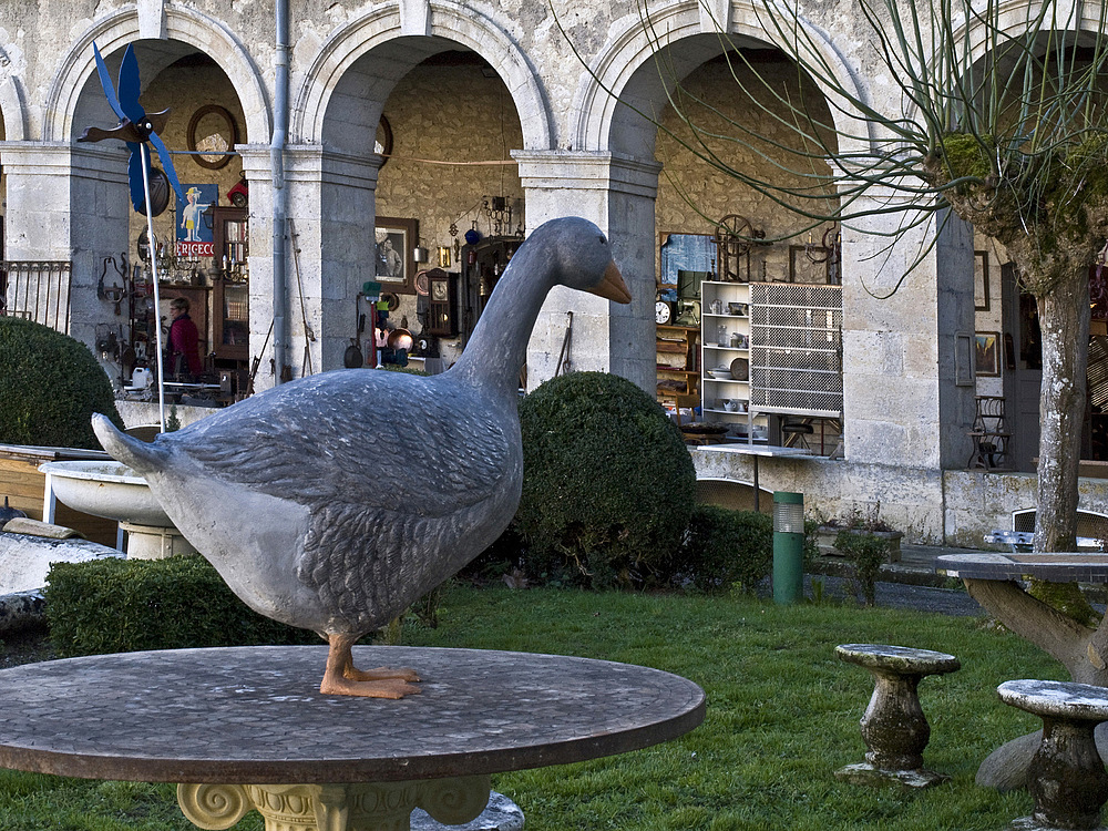 L’oie : un des emblèmes du Gers - Village des antiquaires à Lectoure