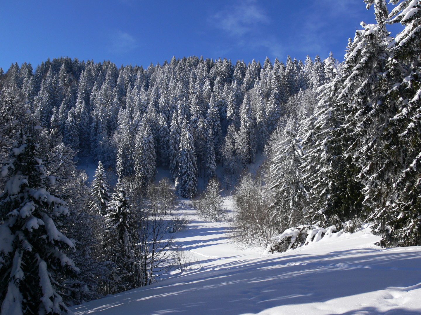 Loin de la foule et du bruit..............