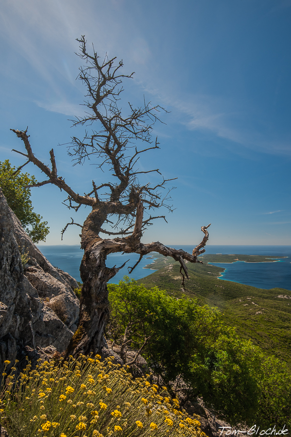 Lošinj