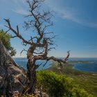 Lošinj