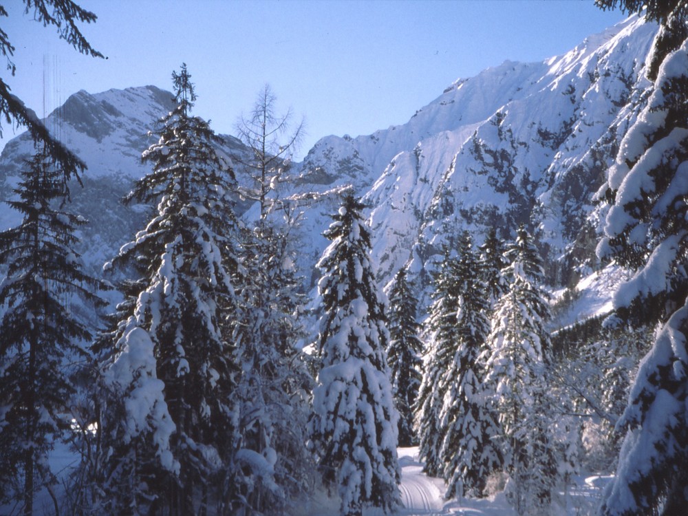 Loipe hinter Pertisau am Achensee